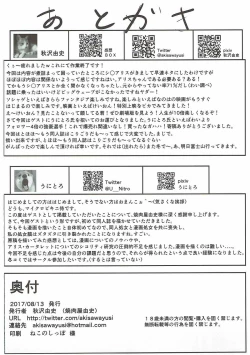 Page 26 of SICo ALICE