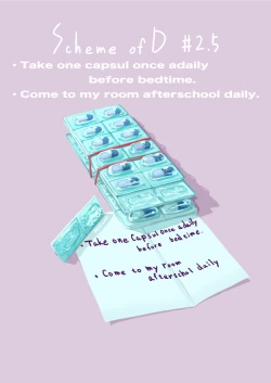 Page 21 of Scheme of D ch.1-4