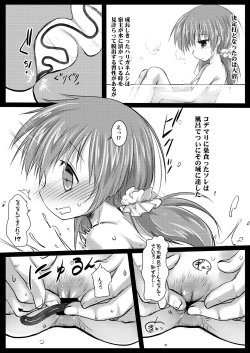 Page 13 of Gaichuu Higai Houkokusho File 2