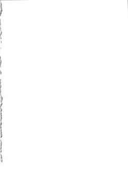 Page 2 of Yamainu Volume 4