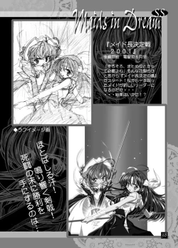 Page 37 of THE WORKS OF GENSHO SUGIYAMA 2001 SUMMER