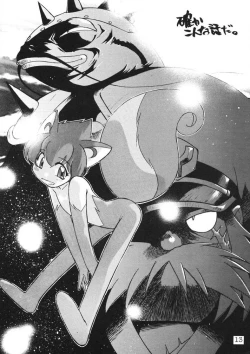 Page 13 of Kuriokawa