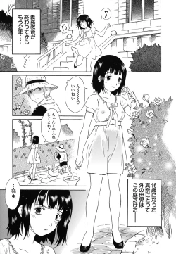 Page 42 of Imouto to Iu Na no Mesu | Sister Bitch