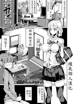 Download Boku no Onee-chan ni wa Teisou Gainen ga Nai