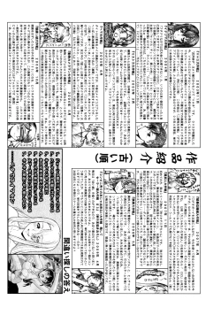 Page 207 of Operation Daisakusen Voyager