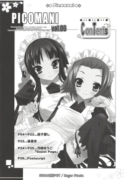 Page 2 of Picomani:06