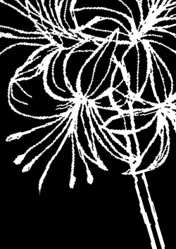 Page 4 of Sassuga~ Eiki-sama wa Hanashi ga Wakaru!