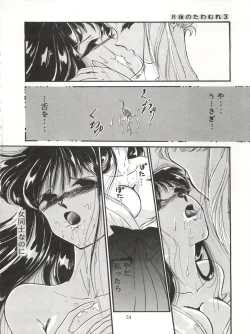 Page 24 of Tsukiyo no Tawamure 3