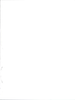 Page 2 of Tokitsukaze Wanwan Festival