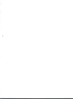 Page 2 of Pint Points