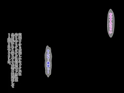 Page 160 of [Parupuntemidaredzuma 3 Shimazu Miyuki