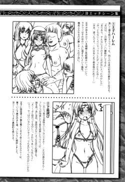 Page 223 of Seijo no Kenshin