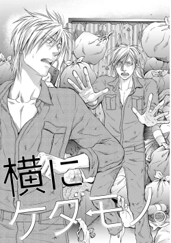 Page 69 of Yoko ni Kedamono.