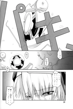 Page 26 of Kokujuujisai