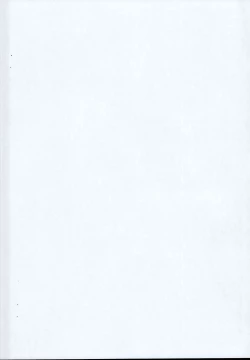 Page 2 of Reimu-chan ni Sashiire to Shoushite Ippuku Motte Neteru Aida ni Eroi Koto Yacchau Hon