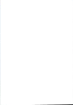 Page 2 of Ichinose Sairokushuu II