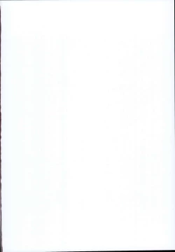 Page 2 of Daisuki na Kimi dakara Mechakucha ni Kegashitai.