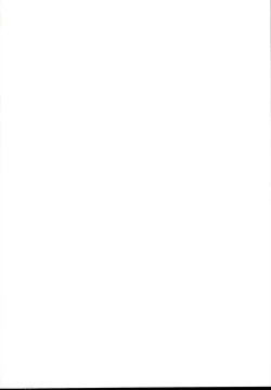 Page 2 of RAIDEN STORM