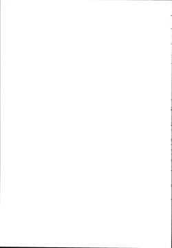 Page 15 of Nanoha to Rinkan to Onii-chan