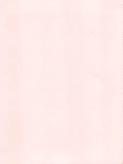 Page 19 of Seiteki Photo Girl