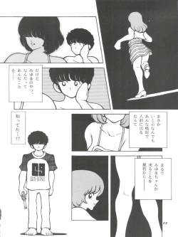 Page 22 of Kanshokuvol.4