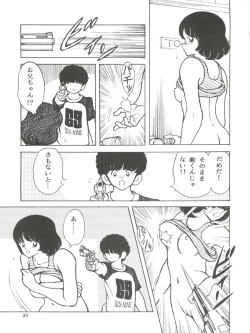 Page 33 of Kanshokuvol.4