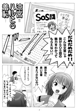 Page 4 of Suzumiya Haruhi no Shuuchi