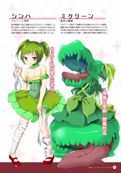 Page 10 of Naedoko Dungeon Chronicle Official Design Works