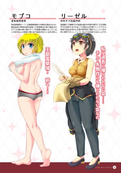 Page 16 of Naedoko Dungeon Chronicle Official Design Works