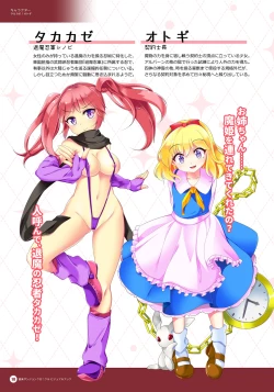 Page 17 of Naedoko Dungeon Chronicle Official Design Works