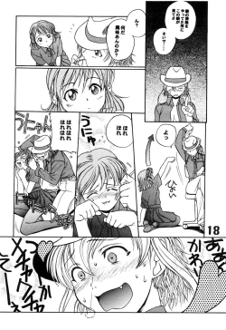 Page 19 of N2 SENTINEL SS25-550kt 1.50A