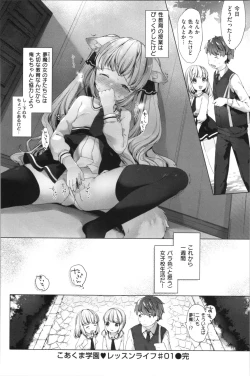 Page 45 of Koakuma wa Shoudoubutsu - Sweet devils as my pets.