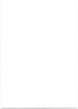 Page 2 of Bradamante Sperm Brothers