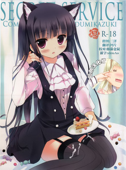 Download Secret Service