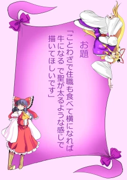 Page 21 of Touhou Pragmatizer 24