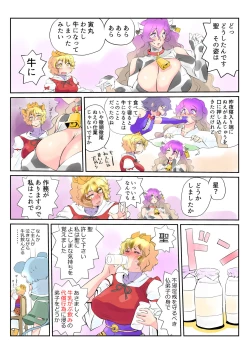 Page 23 of Touhou Pragmatizer 24