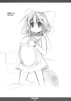 Page 18 of [HoshidokeiInu no Hon