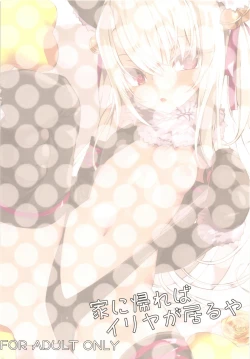 Page 28 of Ie ni Kaereba Illya ga Iru ya