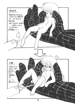 Page 18 of Microchan