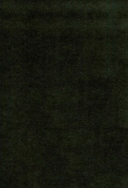 Page 3 of First Night