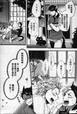 Page 167 of Hatsujou Kemono Hiyori | 發情野獸日和
