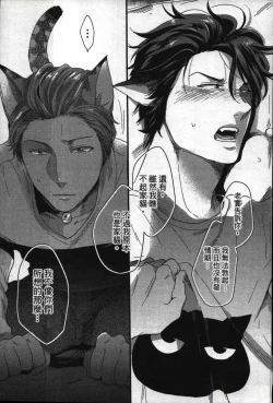 Page 38 of Hatsujou Kemono Hiyori | 發情野獸日和