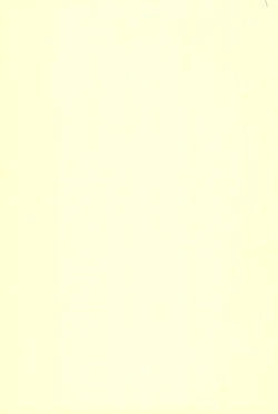 Page 19 of Kuru Kuru Miracle