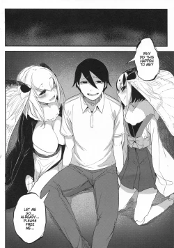 Page 33 of Shiragasane