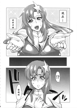 Page 4 of Lacus ClyneKaizou Keikaku | 拉克丝·克莱因（伪）改造计划