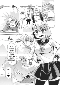 Page 2 of Shaseichan