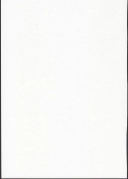 Page 11 of Tsukaisute Tissue