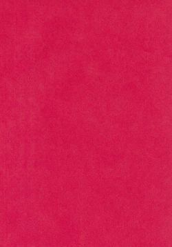 Page 2 of Shitteru kuse ni! Vol. 30