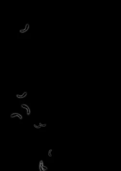 Page 44 of Natsu ga Owaru made Natsu no Owari Zenpen