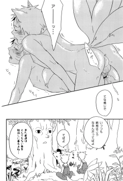 Page 29 of Animal Life